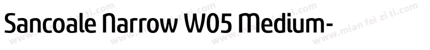 Sancoale Narrow W05 Medium字体转换